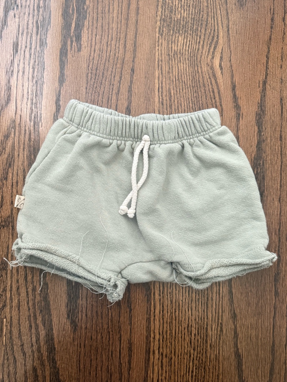 Childhoods Clothing Boy Shorts- Sage Green